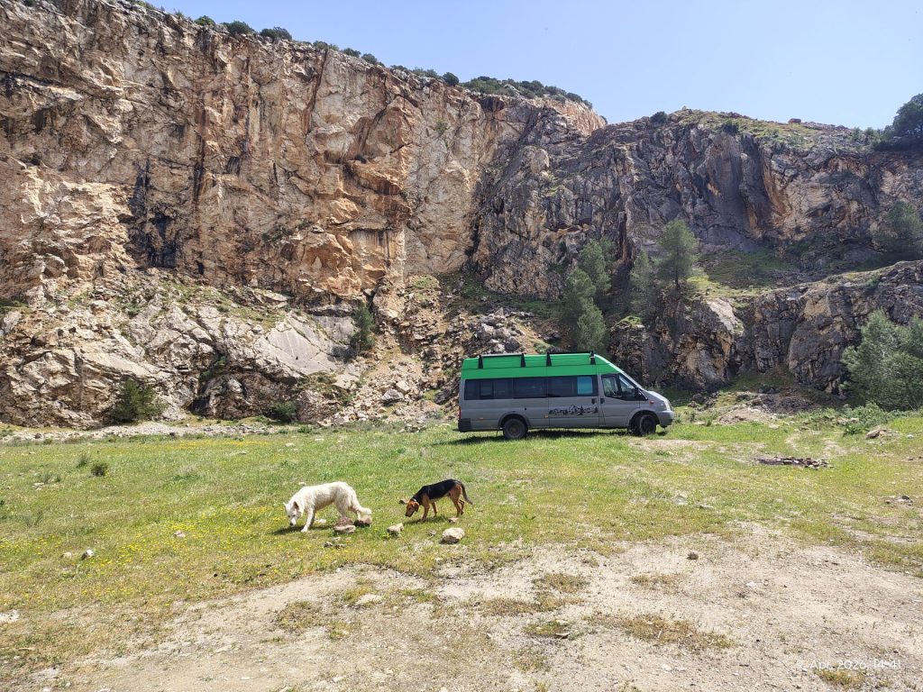 Hunde und Wohnmobil in der Natur
